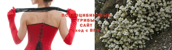 индика Протвино
