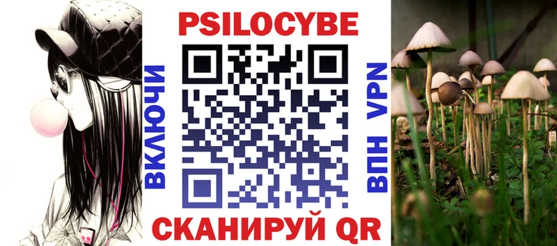 Галлюциногенные грибы Psilocybine cubensis  купить   Новохопёрск 
